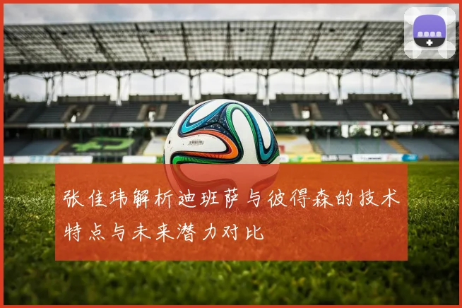 张佳玮解析迪班萨与彼得森的技术特点与未来潜力对比